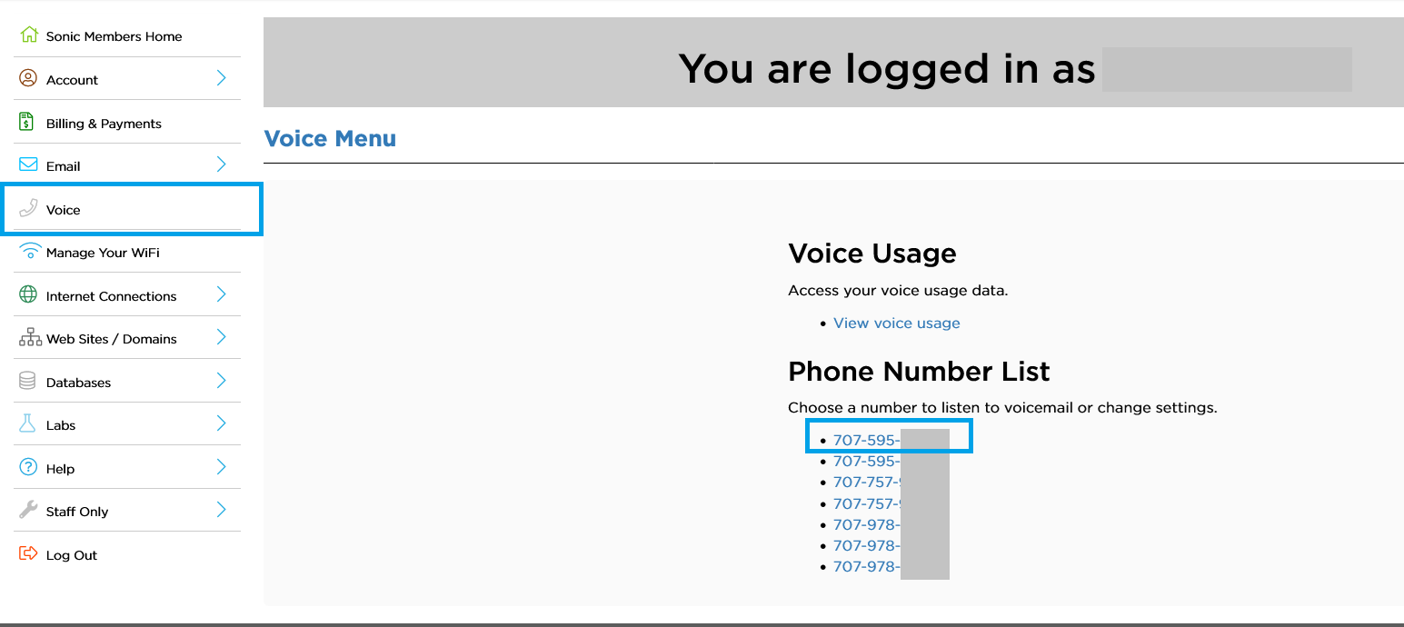 Member Tool dashboard highlighting the “Voice” menu, the “Voice Usage” section, and the “Phone Number List,” including a selected phone number.