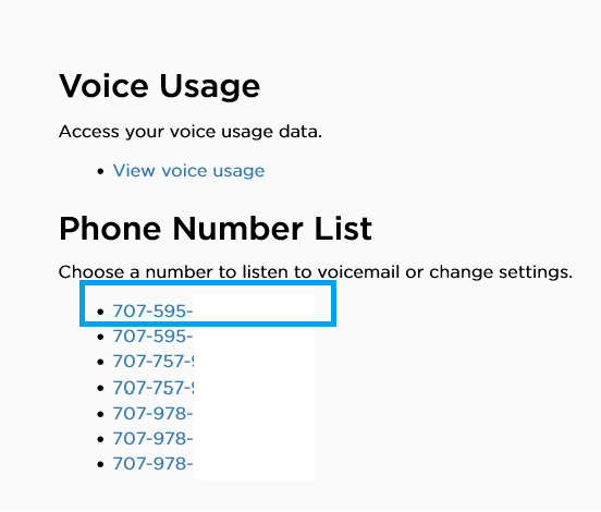 Member Tool Voice page showing the “Voice Usage” and “Phone Number List” sections, with a selected phone number highlighted.