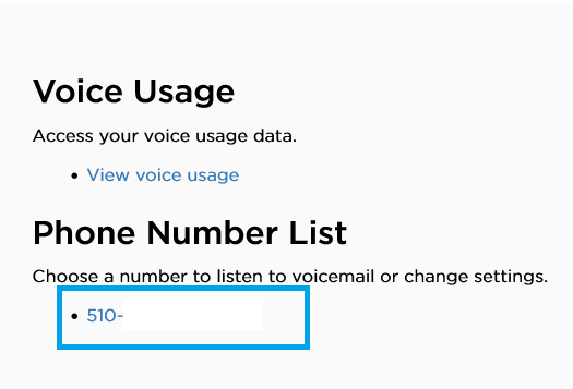 Member Tool Voice page showing the “Voice Usage” and “Phone Number List” sections, with a selected phone number (510‑) highlighted.
