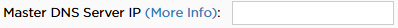 "Master DNS Server IP (More Info):" field located in the IPv6 Tunnels tool.
